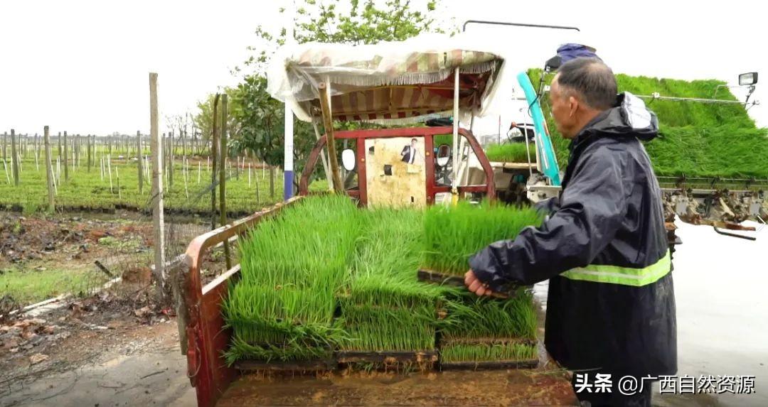 大地资源第二页第三页区别|实用释义解释落实,大地资源第二页与第三页的区别，实用释义、解释与落实